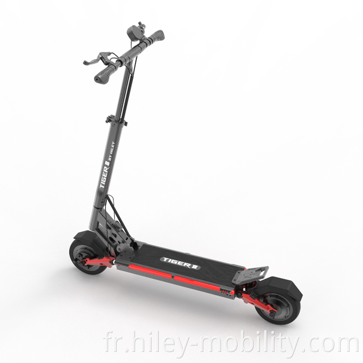 electric city scooter